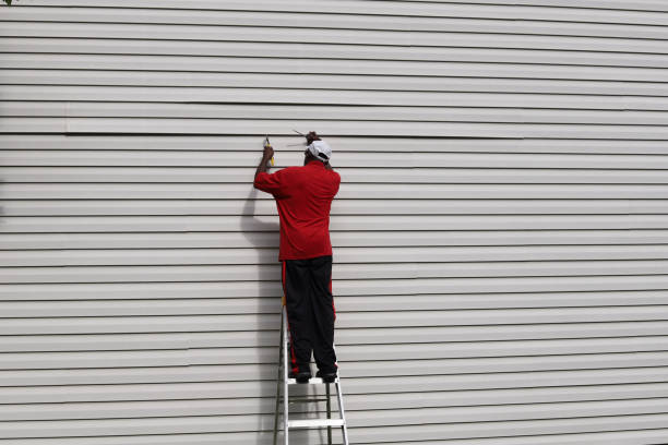 Best Custom Siding Design  in Los Alamos, NM